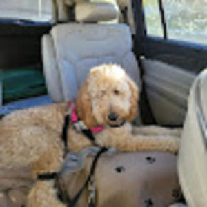 Meet your Posher, Kimberly